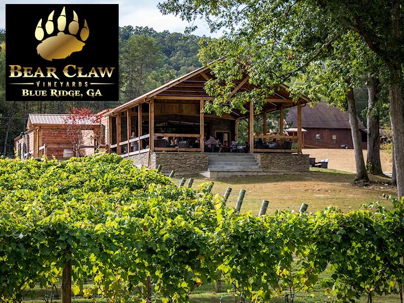 scenic outdoor view of Bear Claw Vineyards